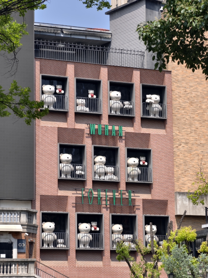小熊墙