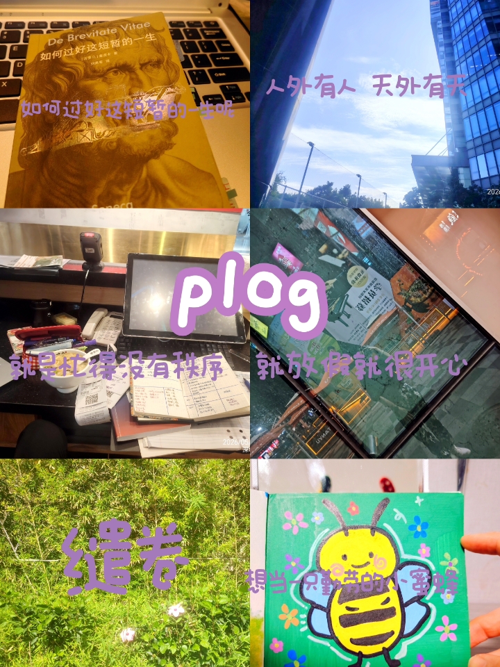 日常|是不是我变好了 日子就会变得快乐起来？