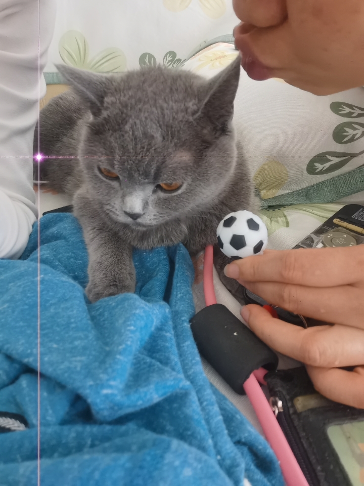 260501 妹猪