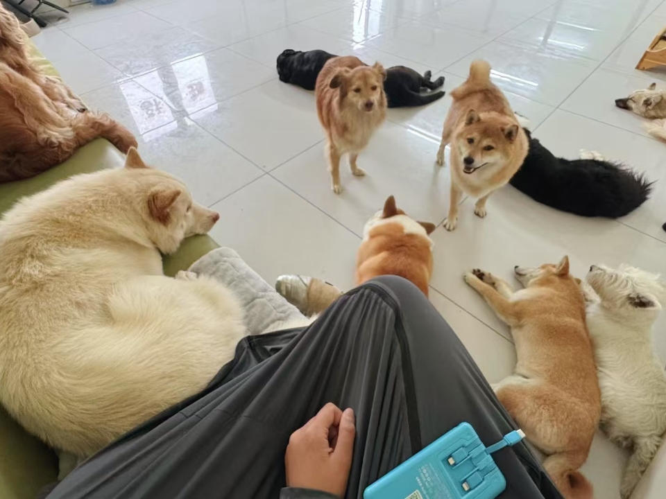集合啦