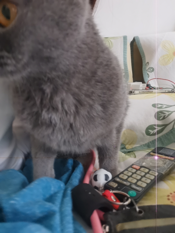 260501 妹猪