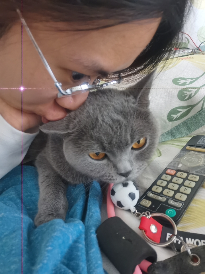260501 妹猪