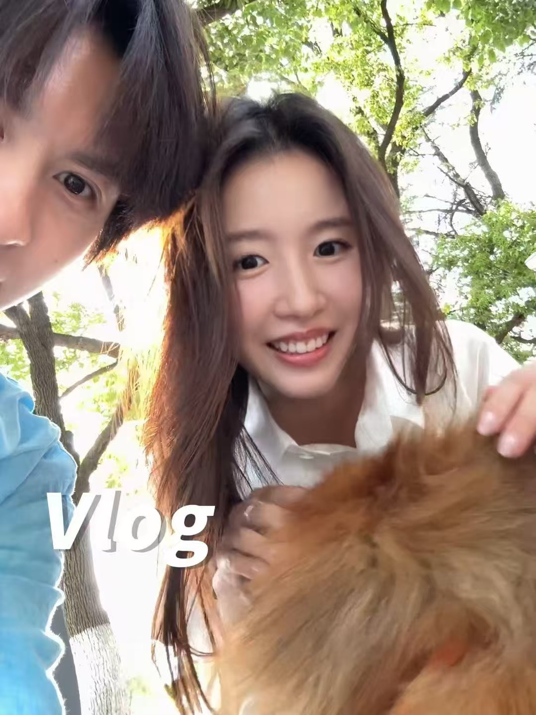 vlog“新家的100个喜欢”收集计划