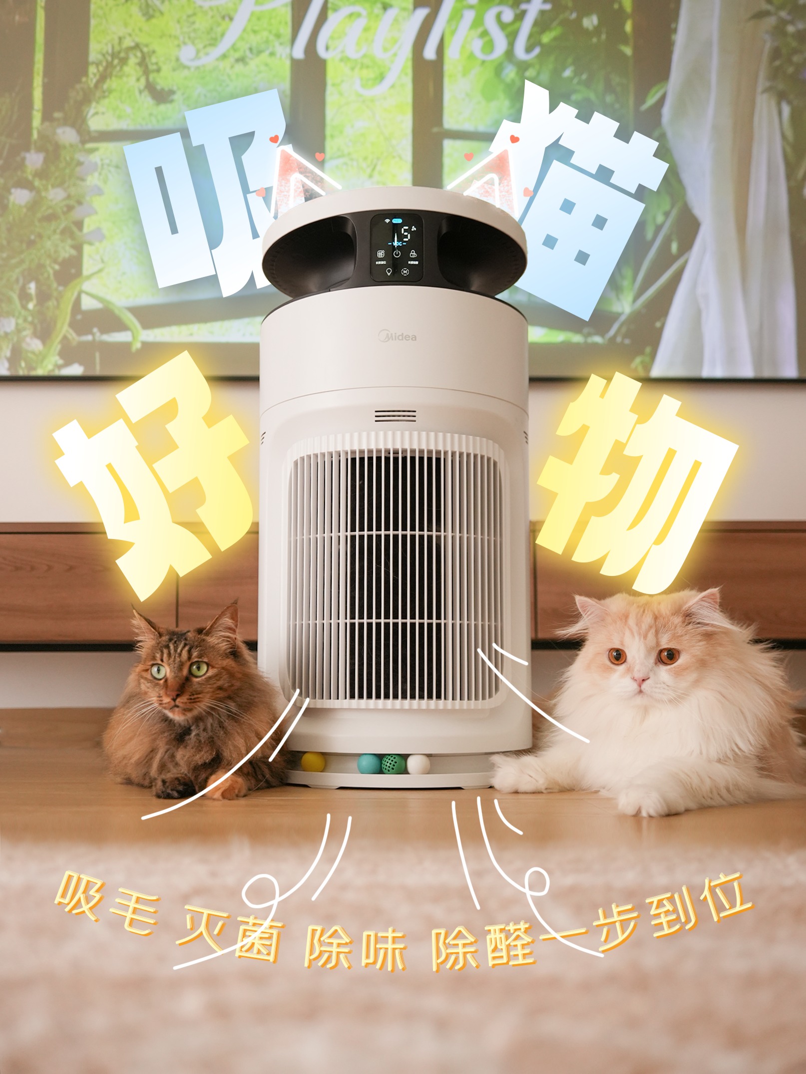 猫毛满天飞？🙀养宠人一看就懂它的含金量