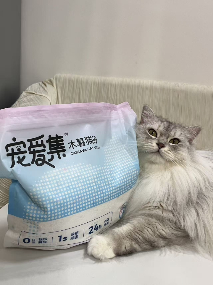 猫猫日记