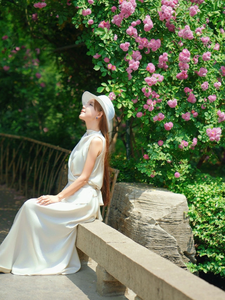 五龙潭·蔷薇秘境全攻略，古泉流水落花自成诗｜ 初夏的风一吹，五龙潭公园的蔷薇就开成了瀑布！古老的泉水潺潺，岸边粉色花瀑倾泻而下，太懂浪漫了～ 五龙潭公园不止有“五龙迎客”，也有江南园林的婉约。特别建议傍晚4-5点去，柔和的夕阳光洒在清泉上，和绚烂的蔷薇花瀑相映成趣，随手一拍就是自带柔光的复古文艺片。 · 整个园子就像是闹市里的“泉水博物馆”和赏花秘境🌿这里共有29处泉池，古温泉泉池东西长18米、南...