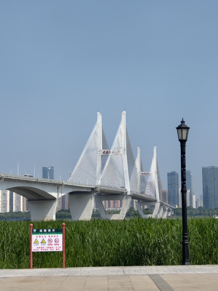 天气真好