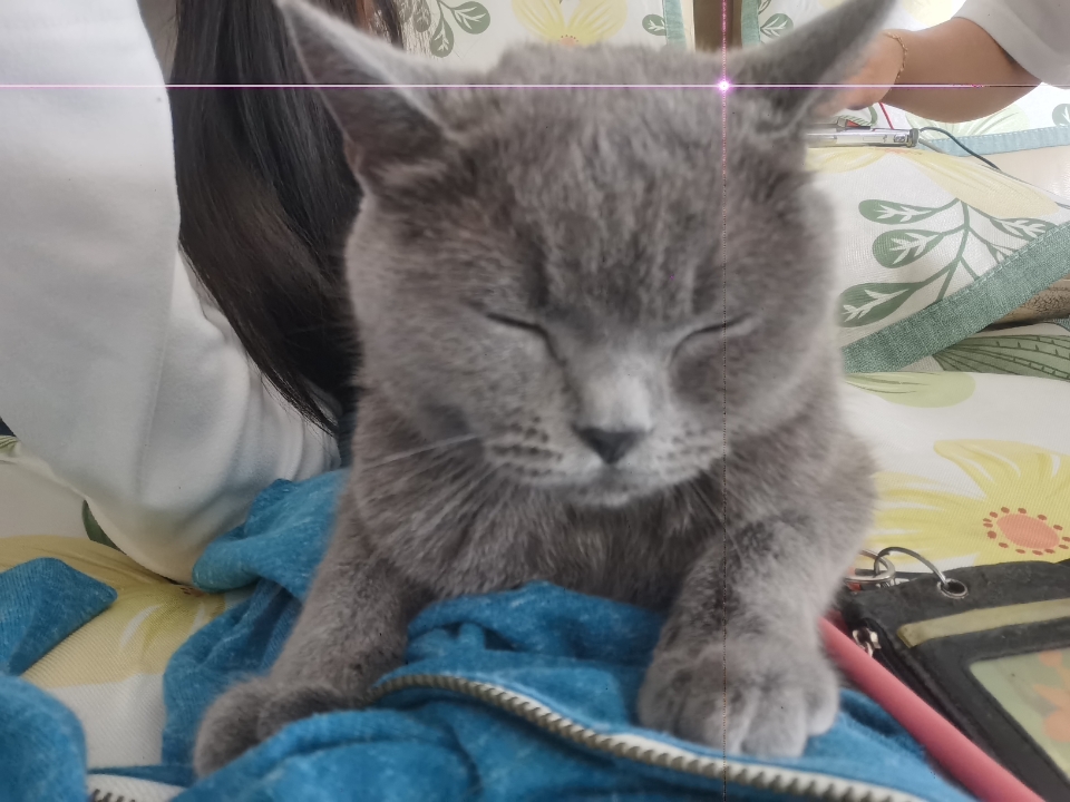 260501 模特妹猪