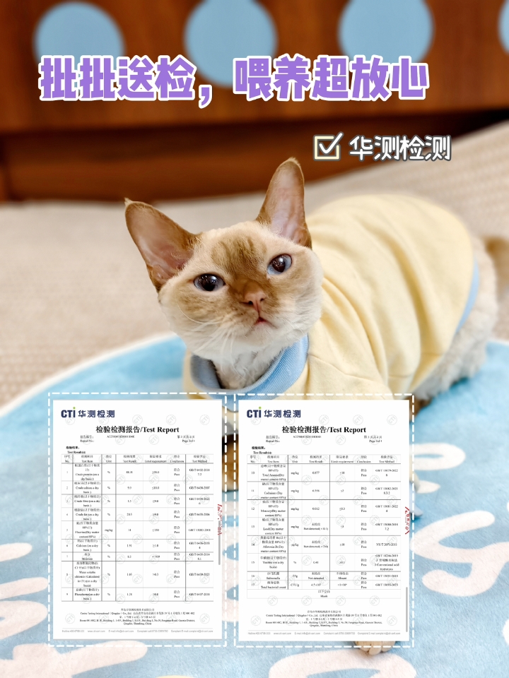 西五街