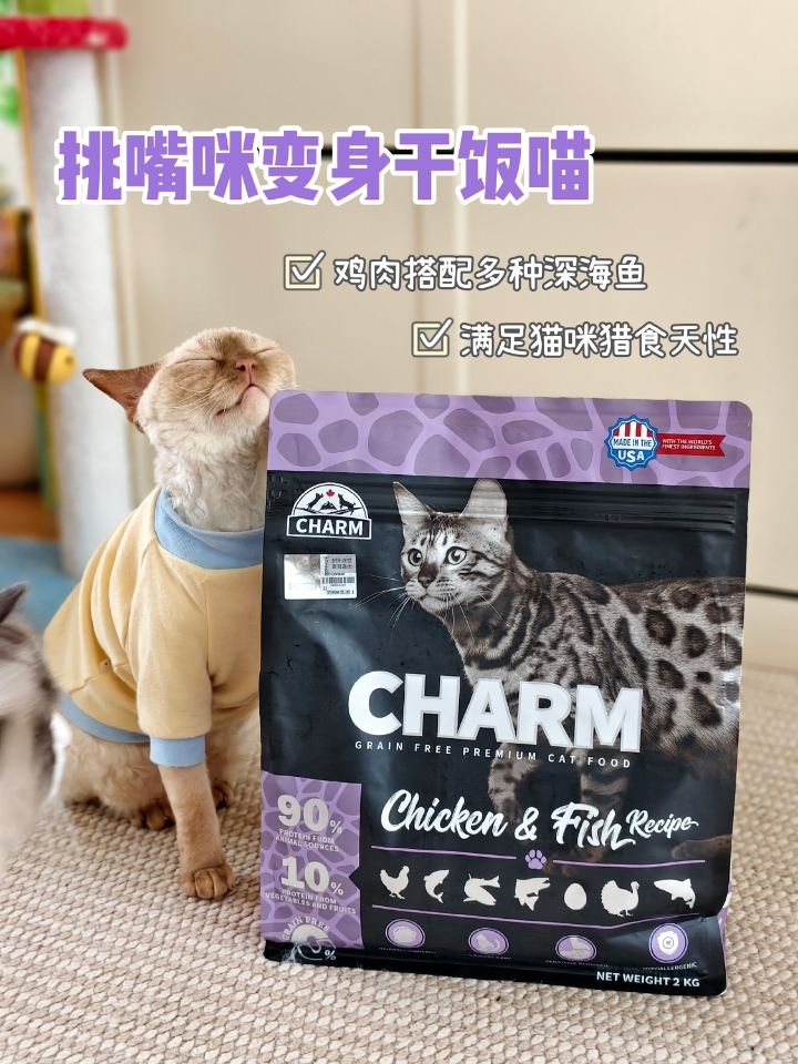 能让挑食喵大快朵颐，野性魅力真的很行！