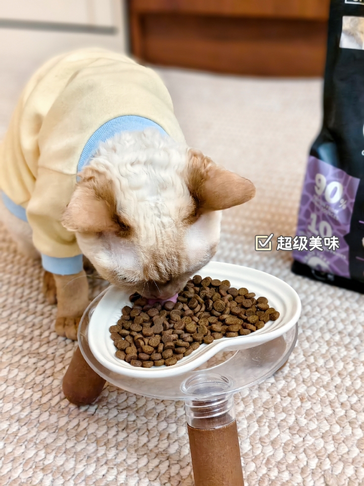 西五街
