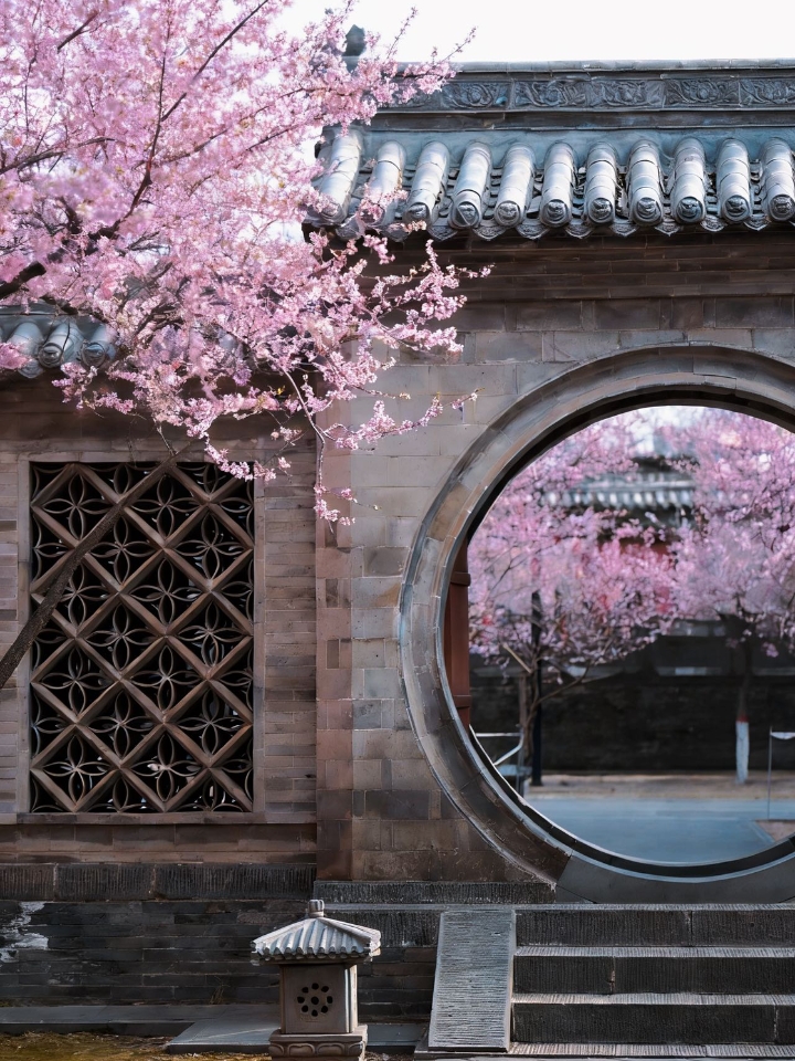 大同法华寺｜红墙白塔映粉桃，我遇到了这个春天最惊艳的山桃花海 大同旅行路过和阳街，无意间走进了法华寺。本只是顺路看看，没想到竟遇见了这个春天最美的山桃花海——红墙、白塔、粉桃，交织成一幅塞北春日的绝美画卷。 · 更巧的是，恰逢一阵风吹过，满树花瓣簌簌飘落，落英缤纷，我在花瓣雨中站了很久，拍下了这组至今翻看都会心动的照片。 · 法华寺位于大同古城东隅和阳街42号，坐北朝南，因塔内珍藏一部《法华经》而...