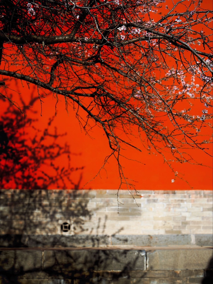 西五街