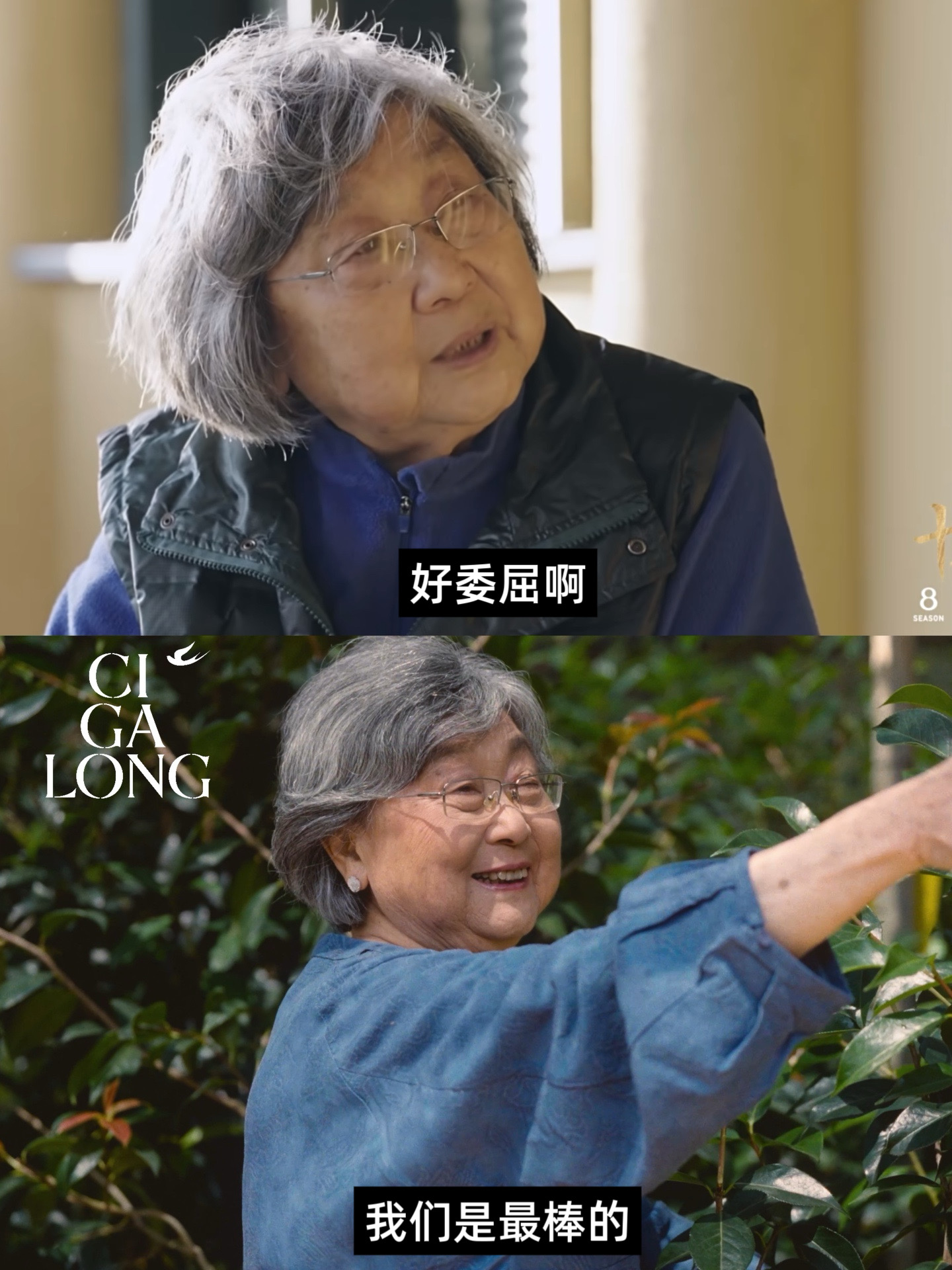 工作对女性的意义在张赞英身上具像化了