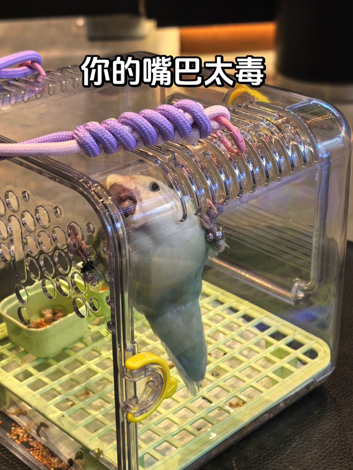 这谁敢伸手……