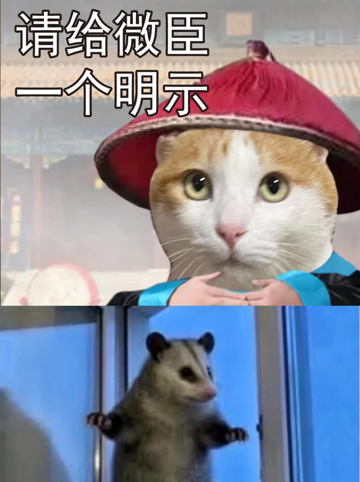 打工手机终于不用硬撑了😂​