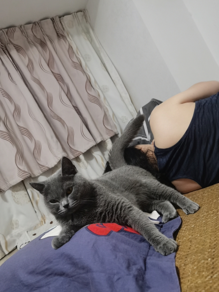 260601 妹猪