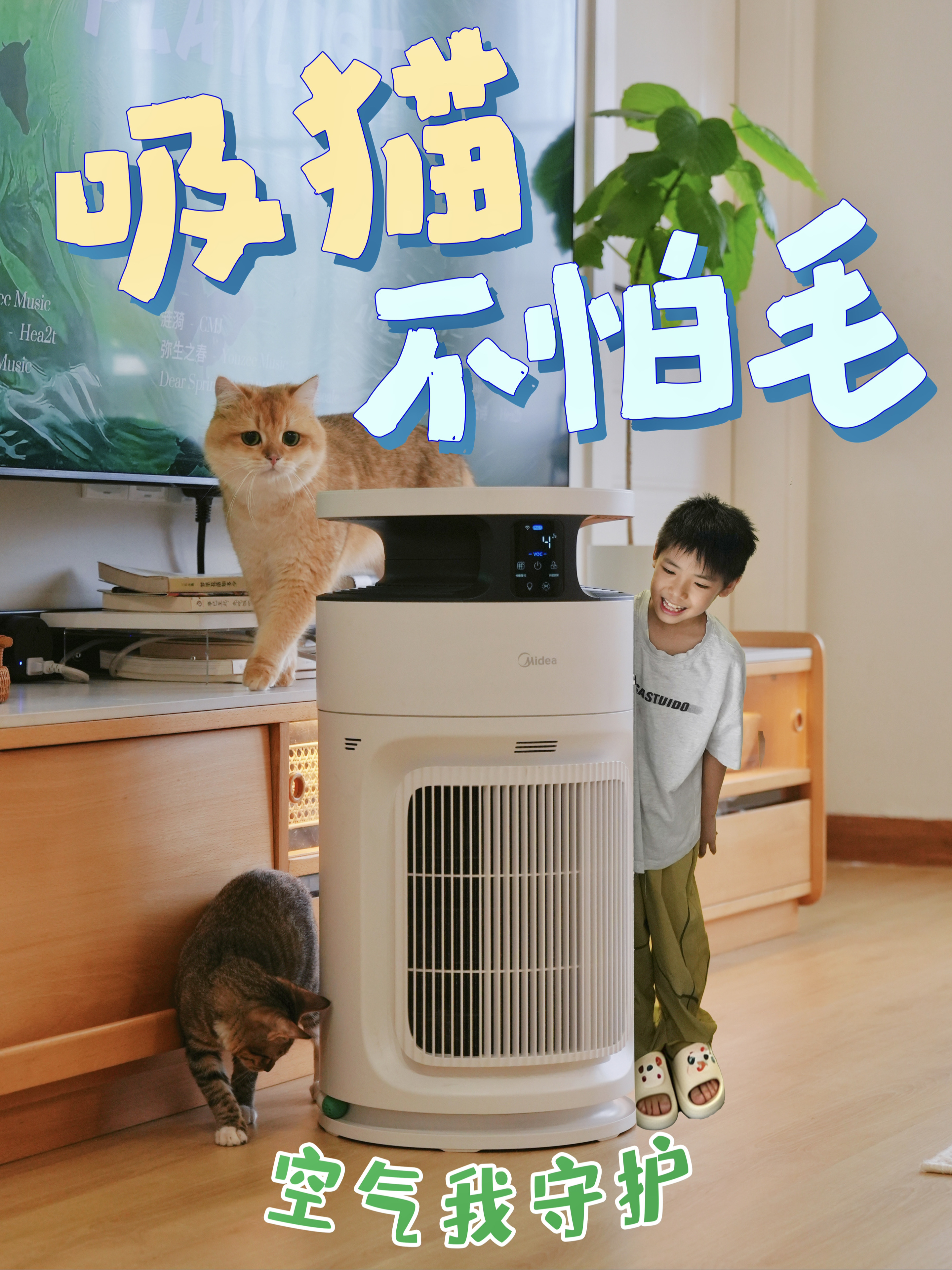 两娃家庭科学收编流浪猫✌️婆婆再也不反对