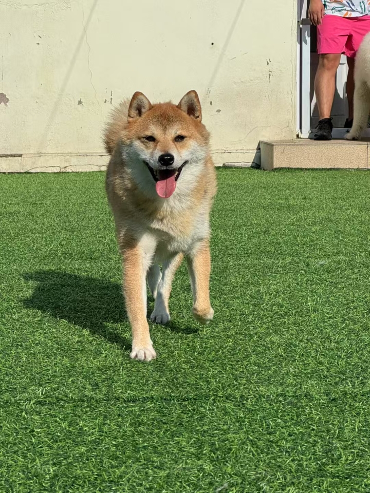 我来了