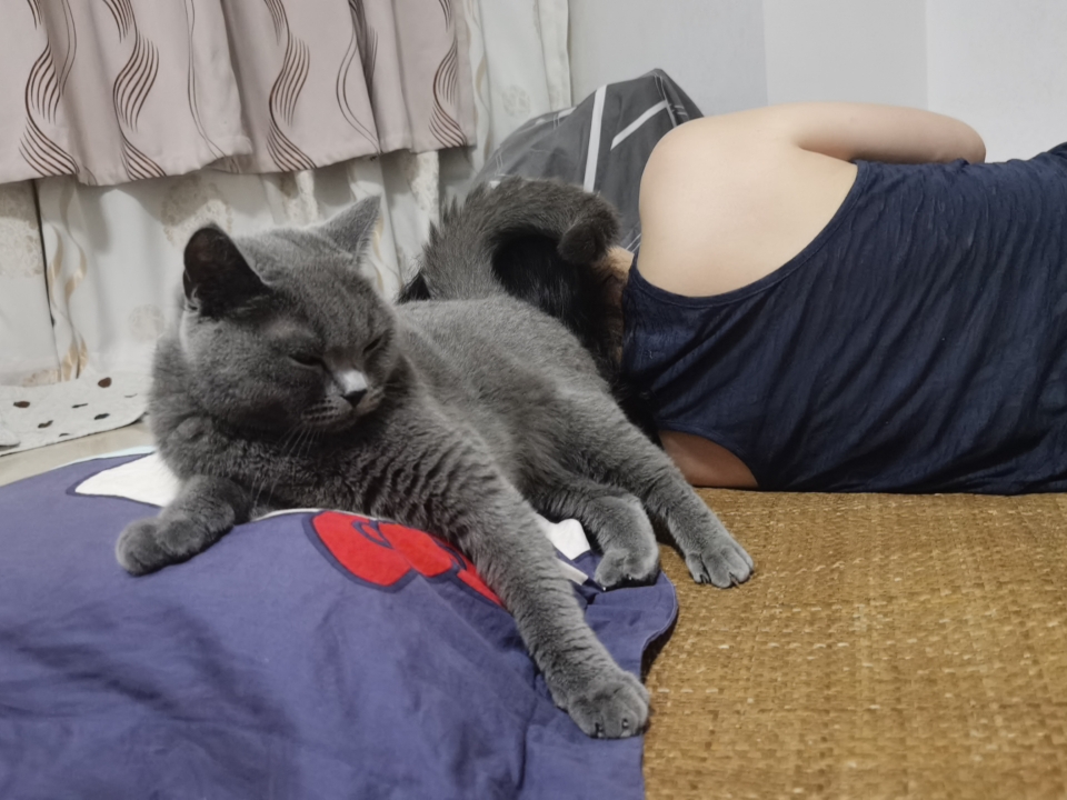 260601 妹猪