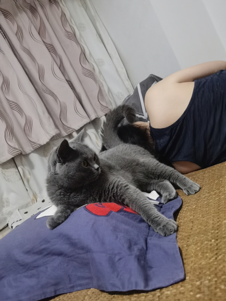 260601 妹猪
