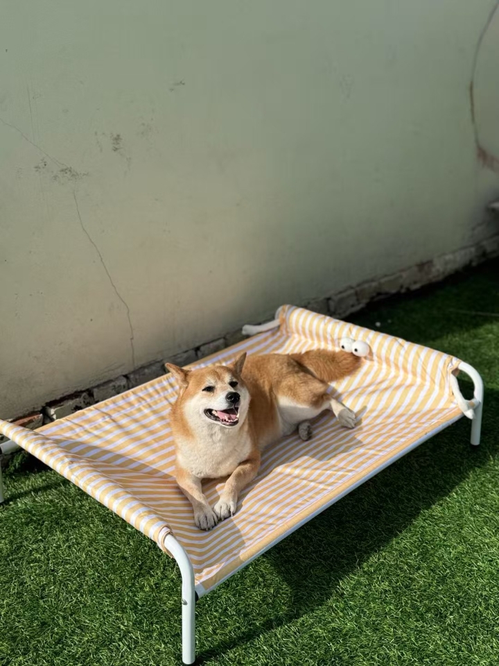 抢着上去躺的小床
