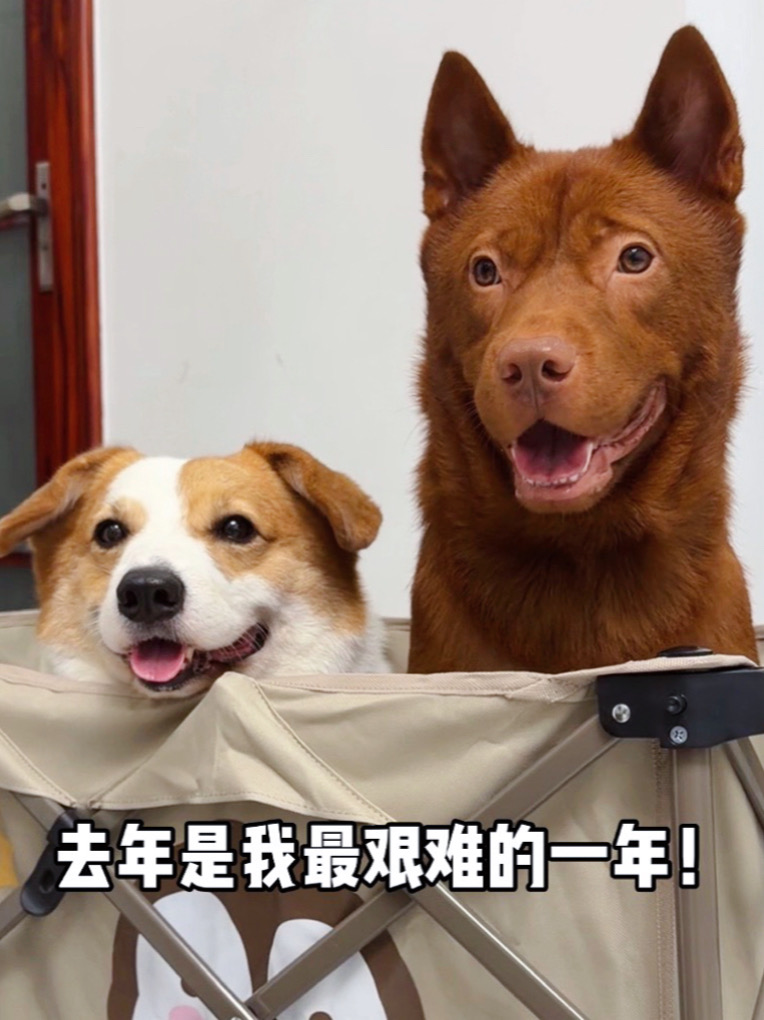 毫无准备，我突然要赡养长久叔叔！