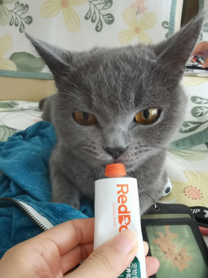 260501妹猪模特