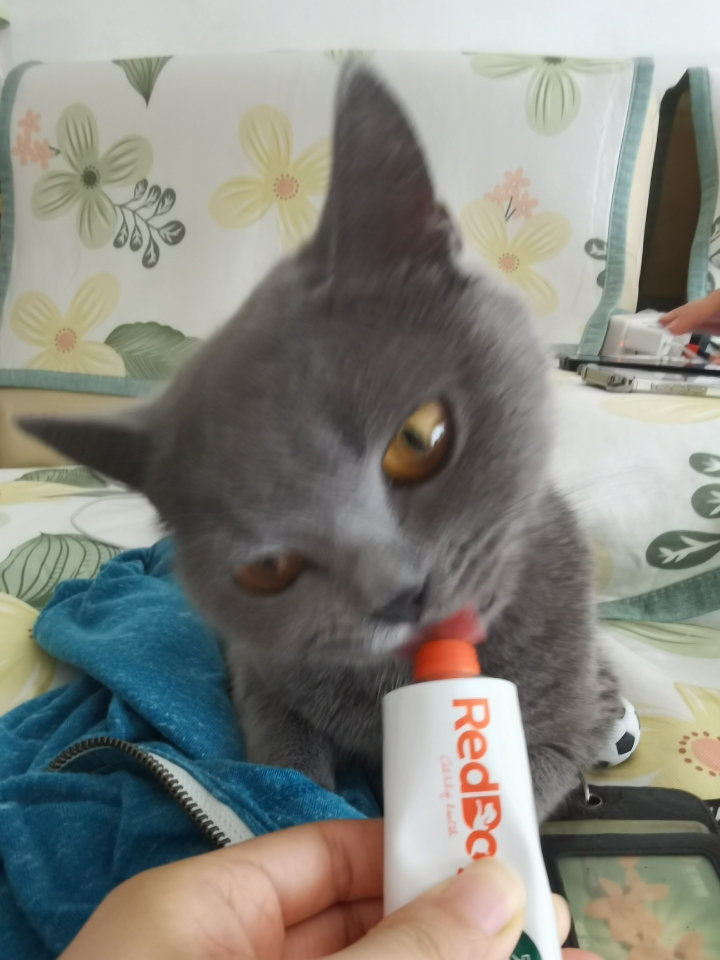 260501妹猪模特