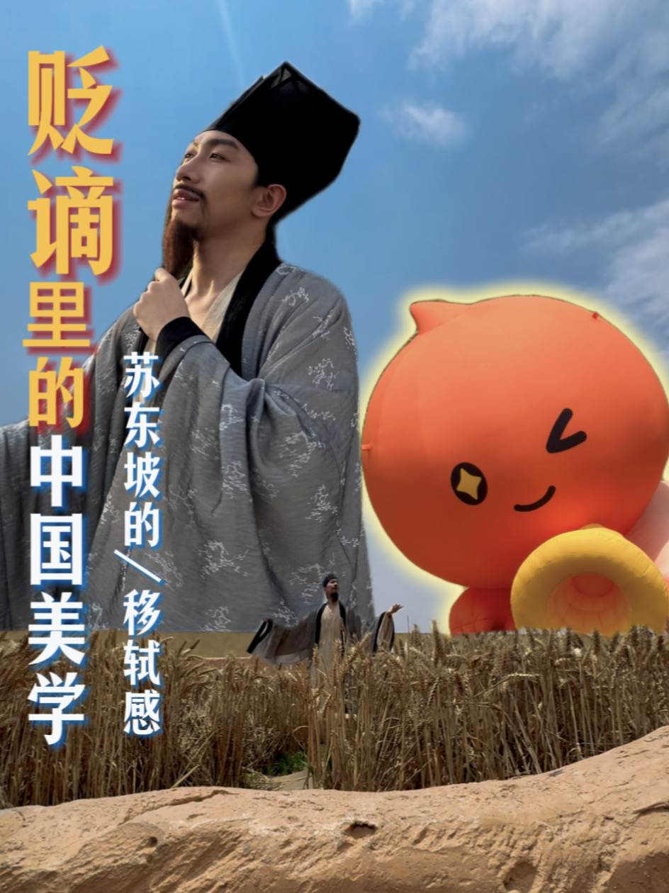 苏轼在中国宝贝里找到“移轼感”