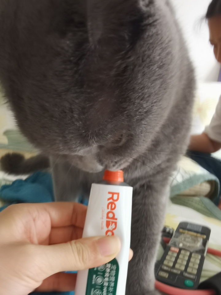 260501妹猪模特
