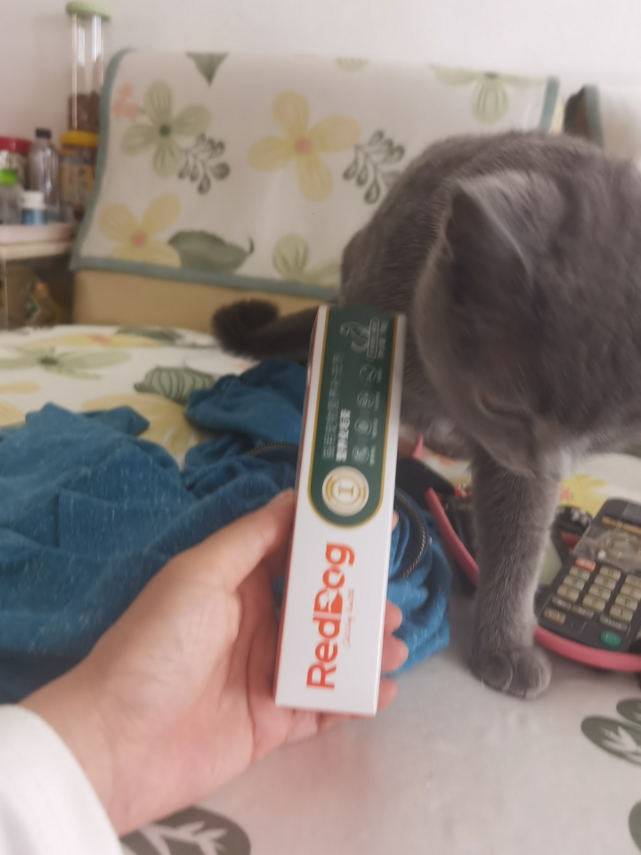 260501妹猪模特