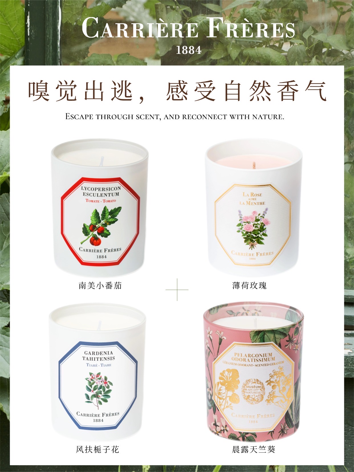 治愈焦虑！被这几支植物香氛狠狠安抚住了