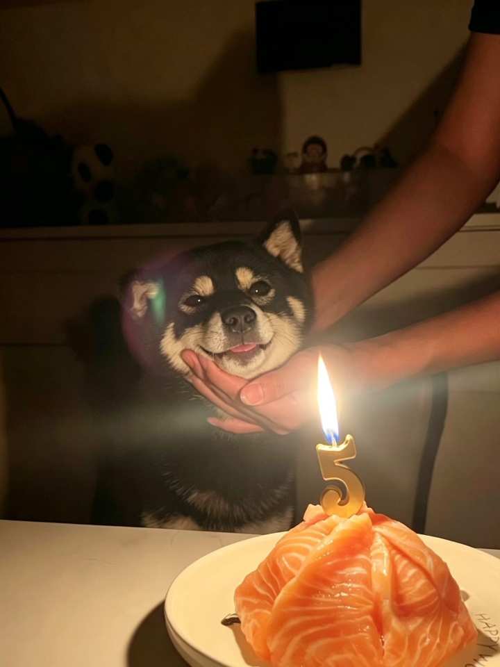 生日碎片