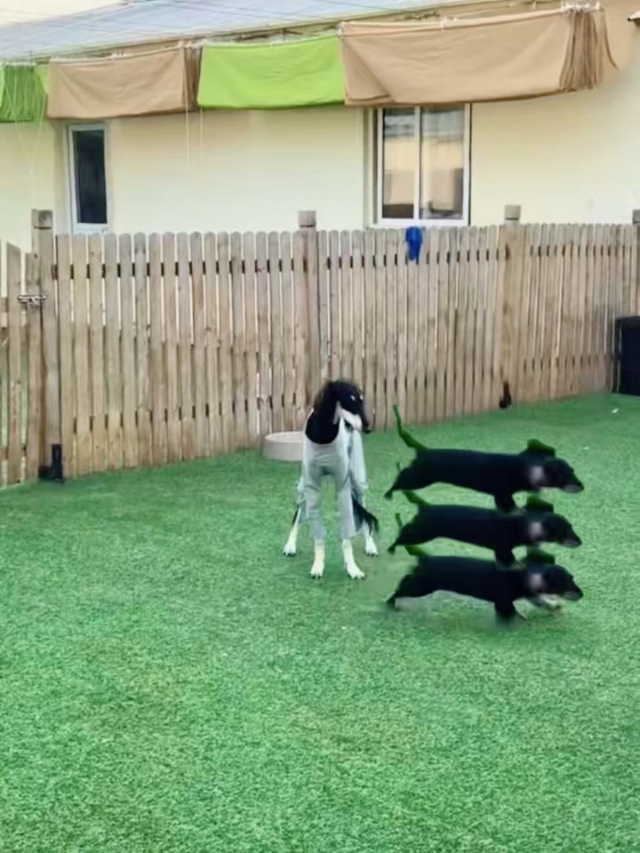 重影了