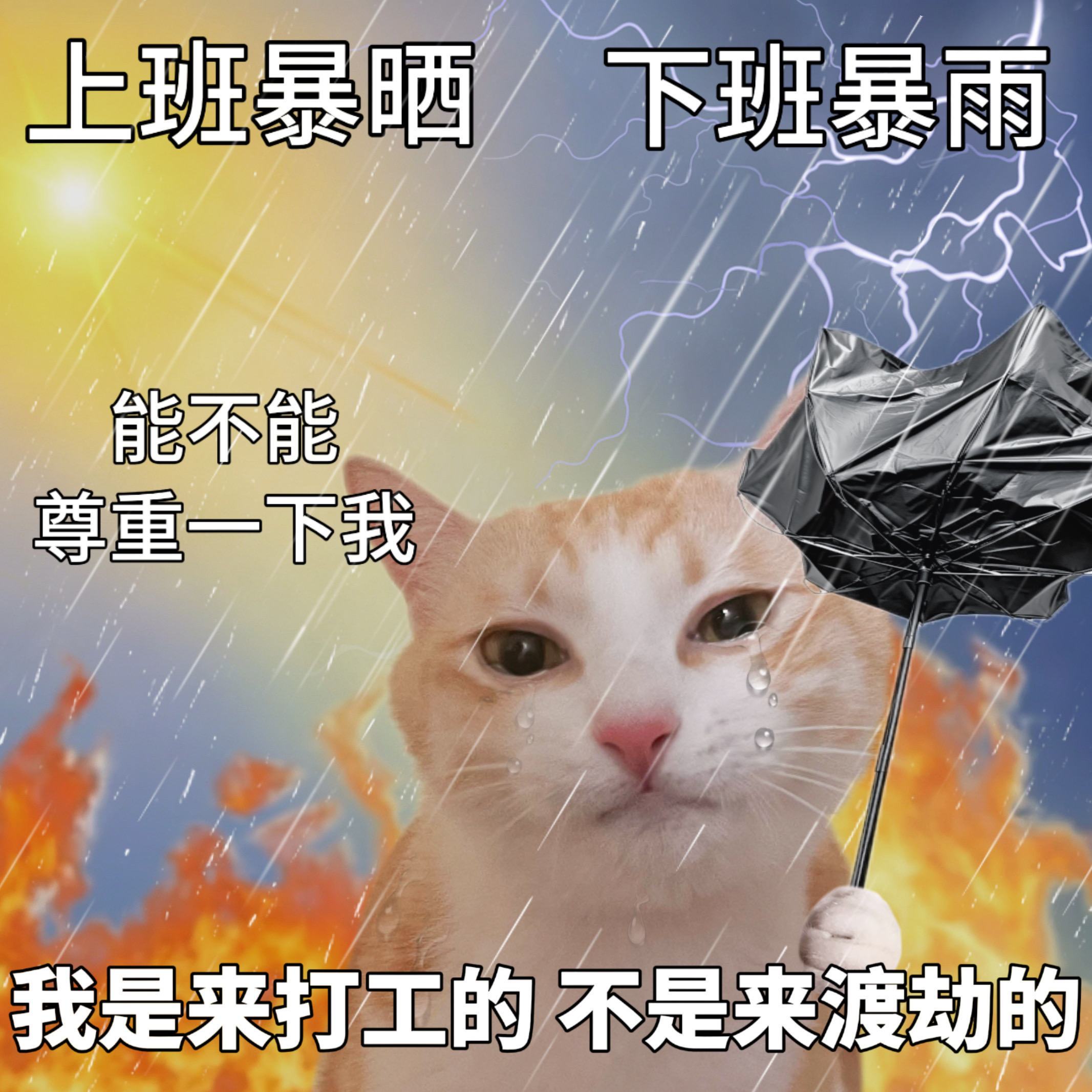 我已经受够这种鬼天气了！
