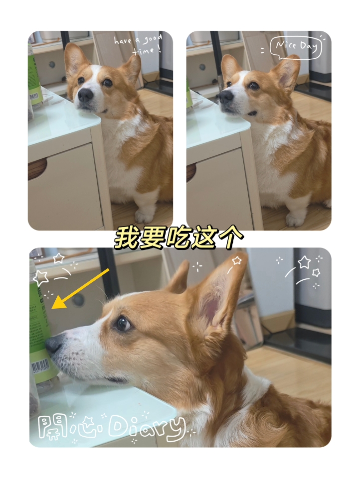 要吃