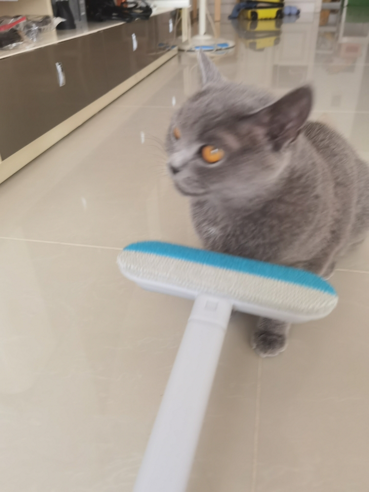 260501 妹猪