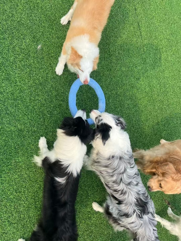 激烈游戏