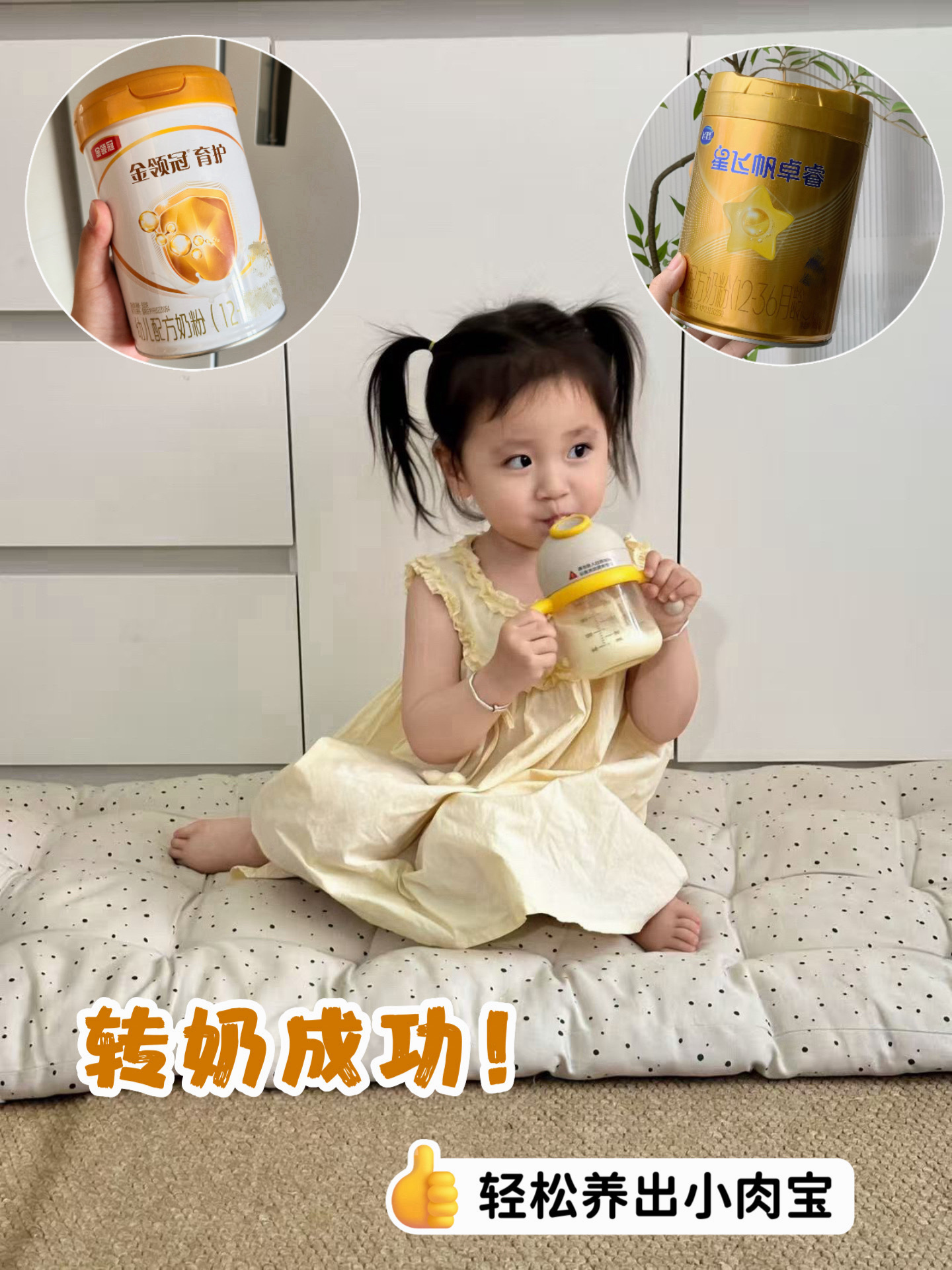 转奶分享 轻松养出小肉宝