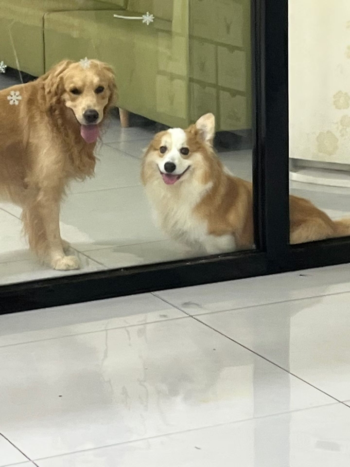 生活碎片