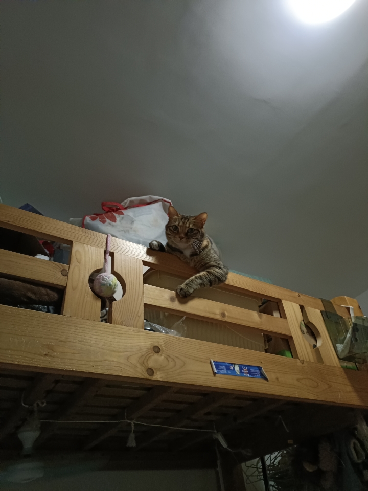 盯