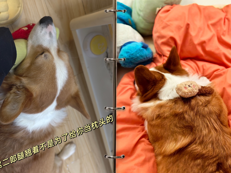很会享受