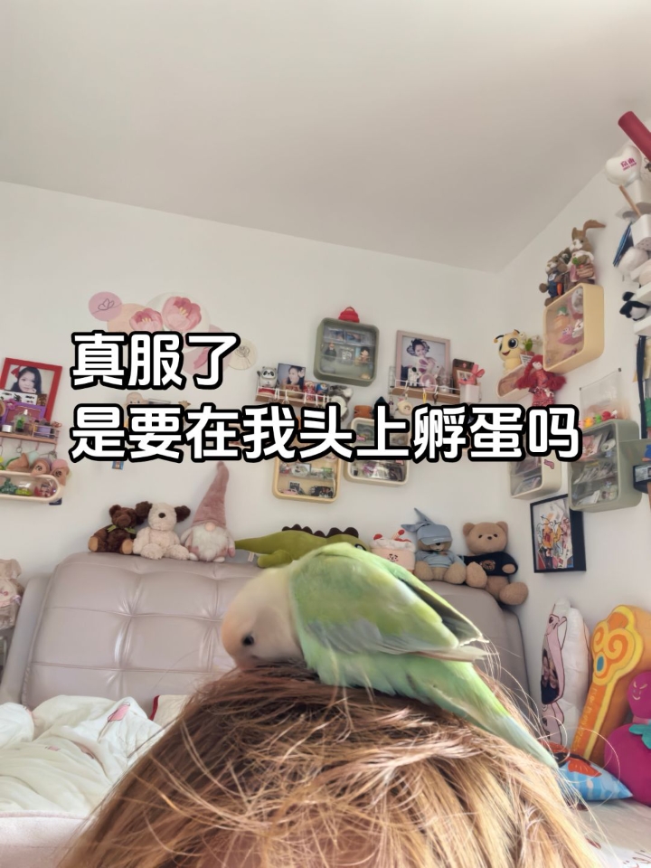真服了！我头发里藏吃的了吗！