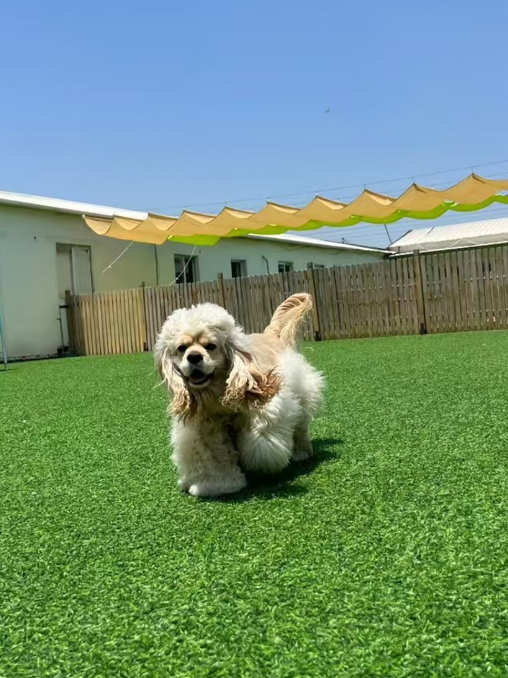 向你而来