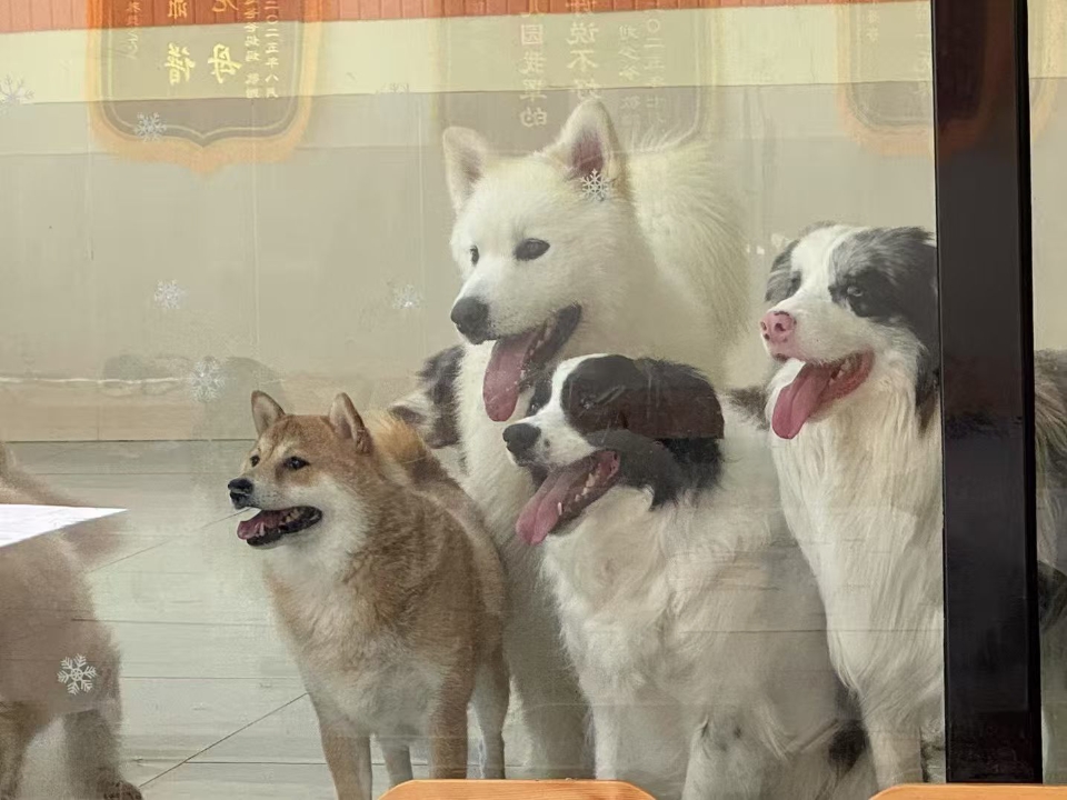 大班的同学～