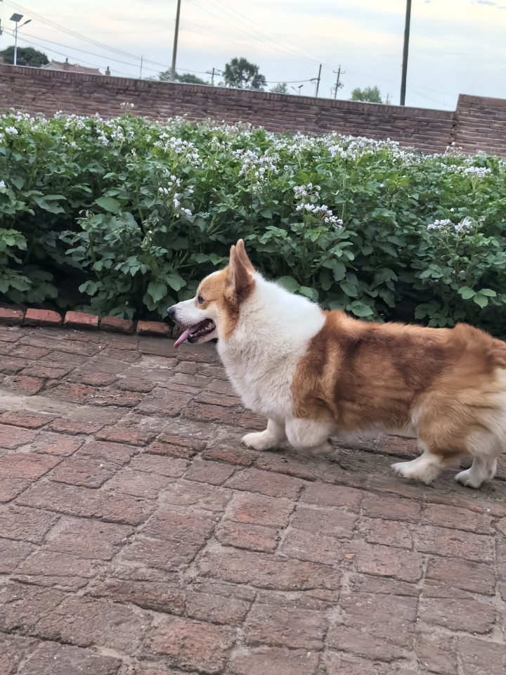 怎么不爱呢