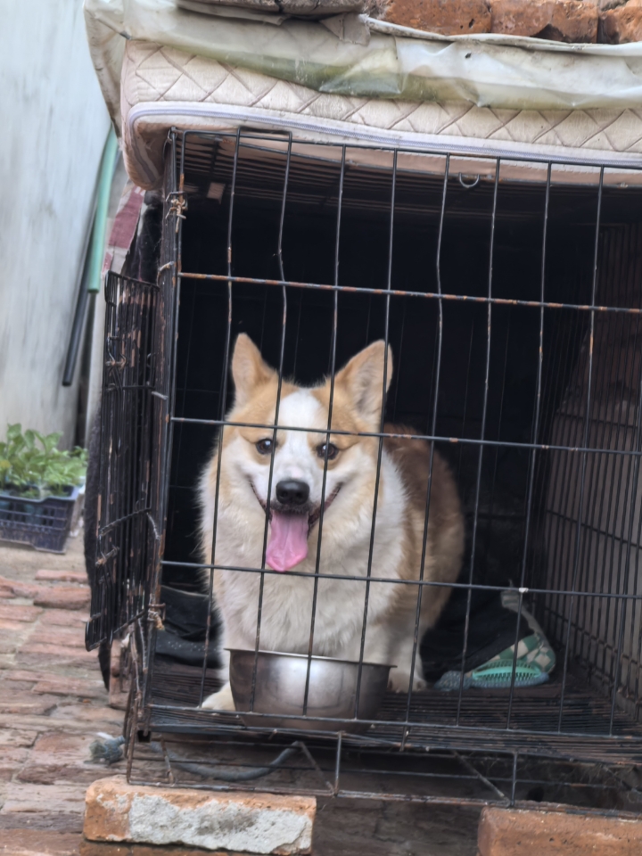 最爱墩墩