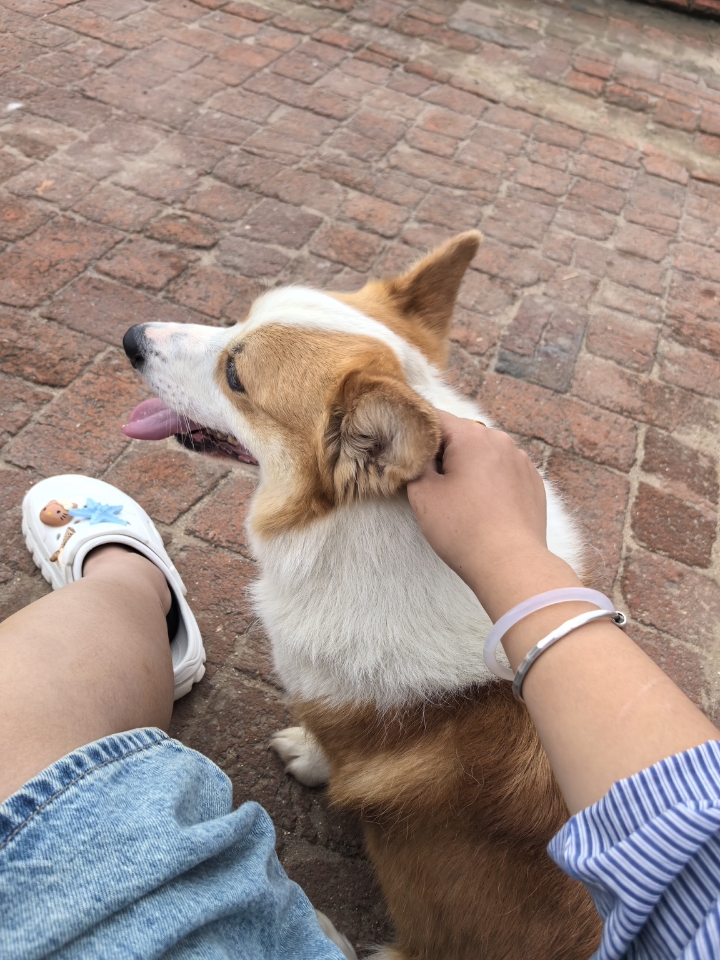 爱墩墩❤