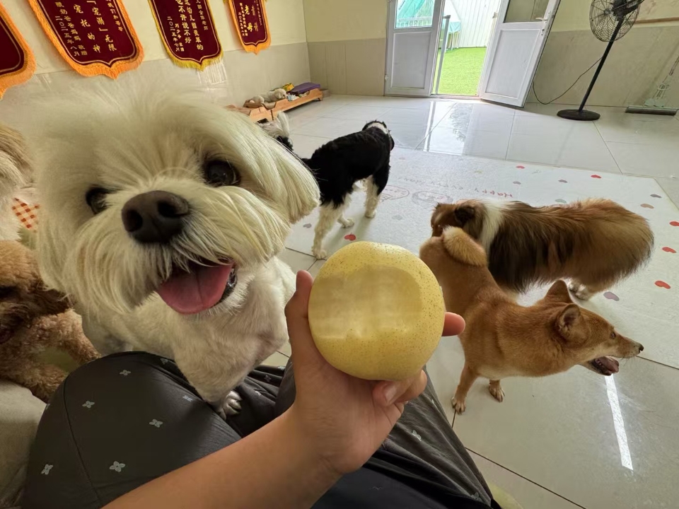 开启自助模式